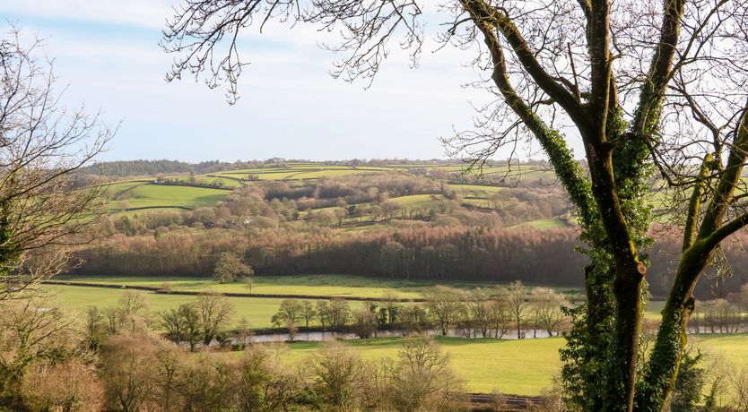 Photo of Little Silver Fox
