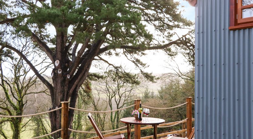 Photo of Little Silver Fox