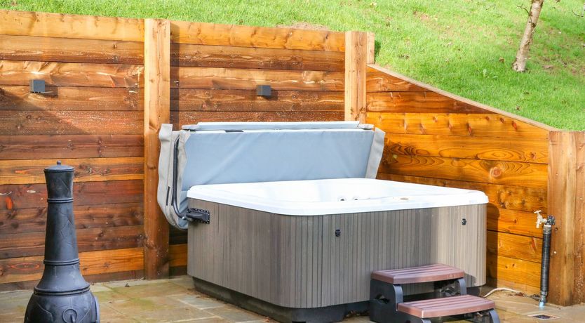 Photo of Little Silver Fox