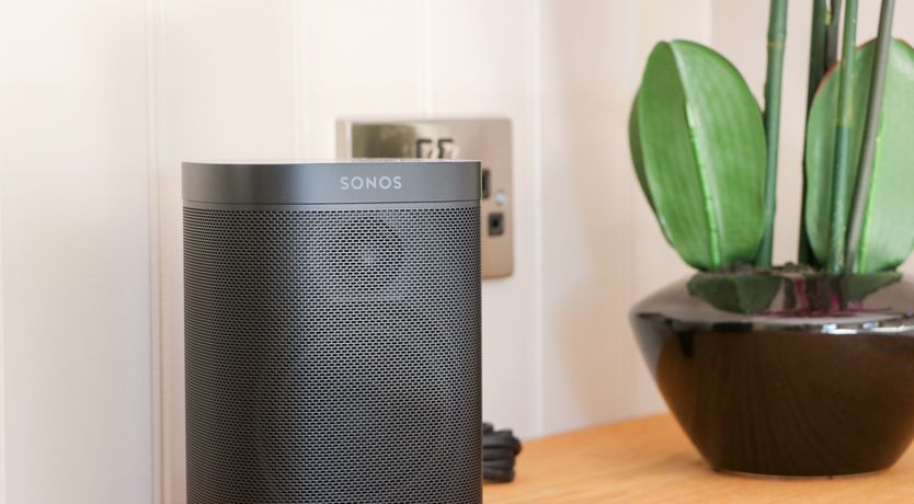 Photo of Little Silver Leaf