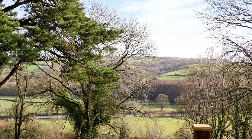 Photo of Little Silver Leaf