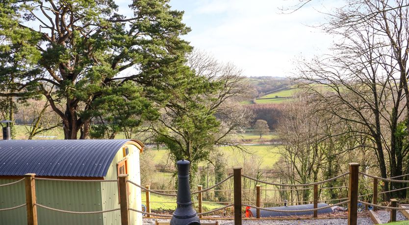 Photo of Little Silver Leaf