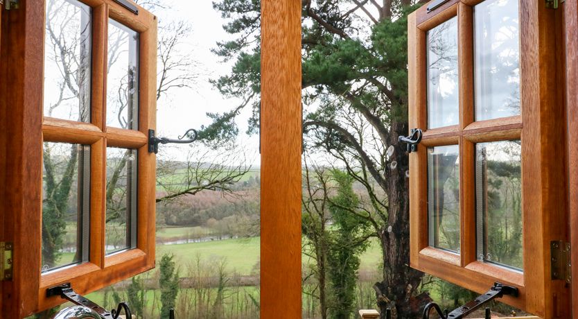 Photo of Little Silver Leaf