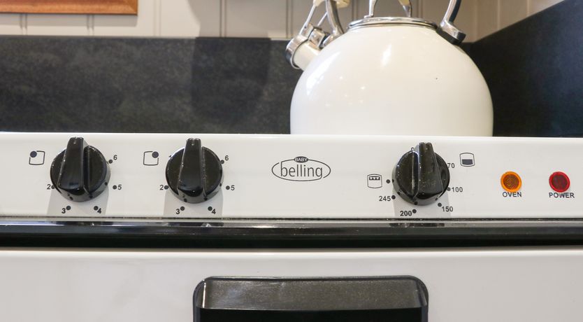 Photo of Little Silver Leaf