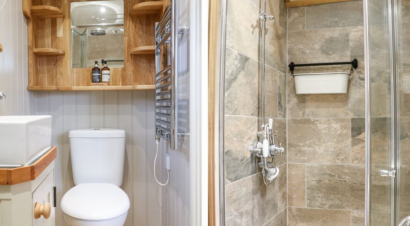 Photo of Little Silver Leaf