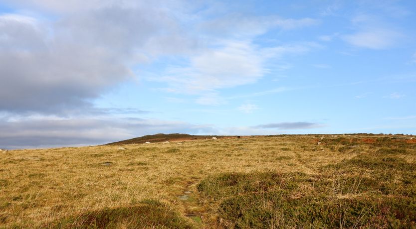 Photo of Brimpts Cottage