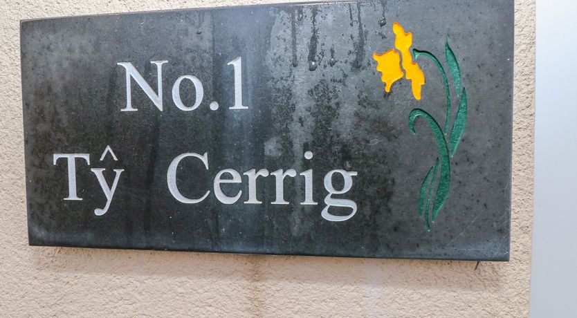 Photo of Ty Cerrig