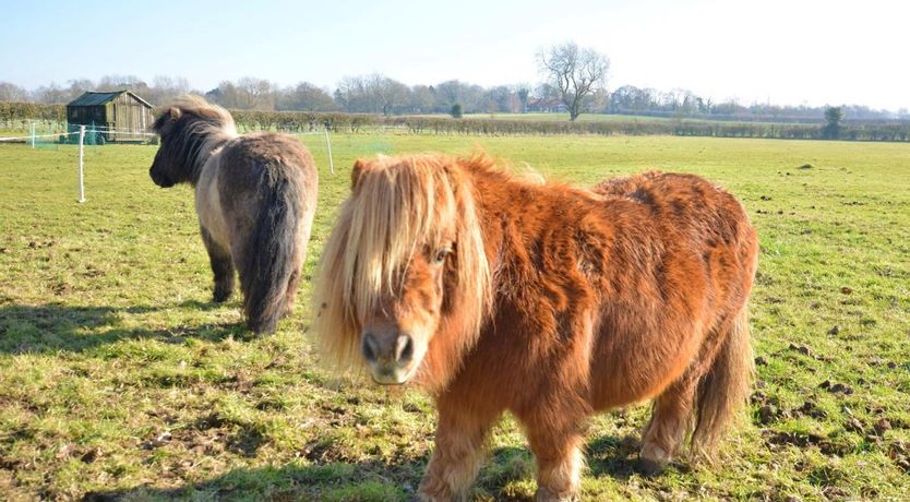 Photo of 1 Bed in East Barkwith