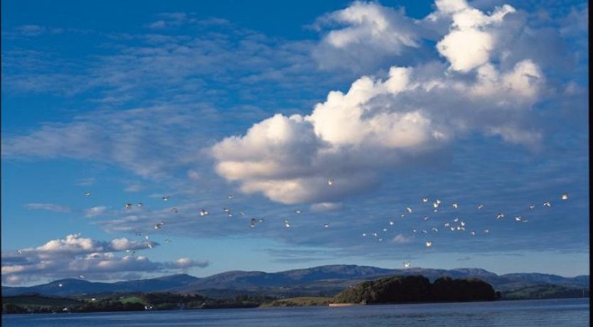 Photo of Donegal Estuary Holiday Homes
