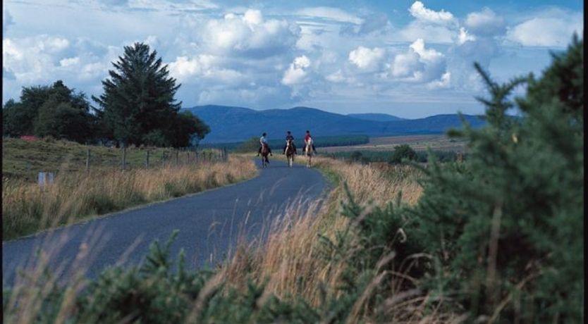 Photo of Donegal Estuary Holiday Homes