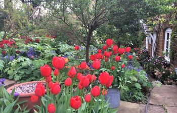 in Chipping Norton  (73904) Holiday Cottage