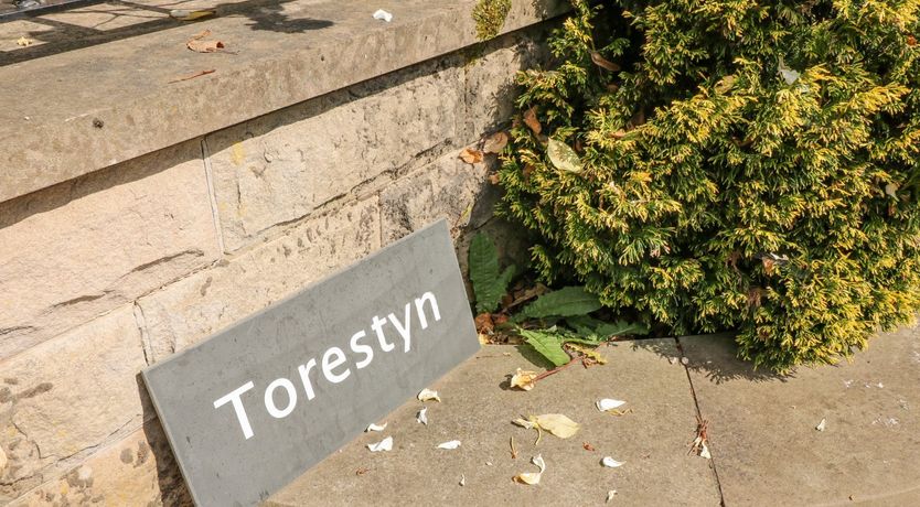 Photo of Torestyn
