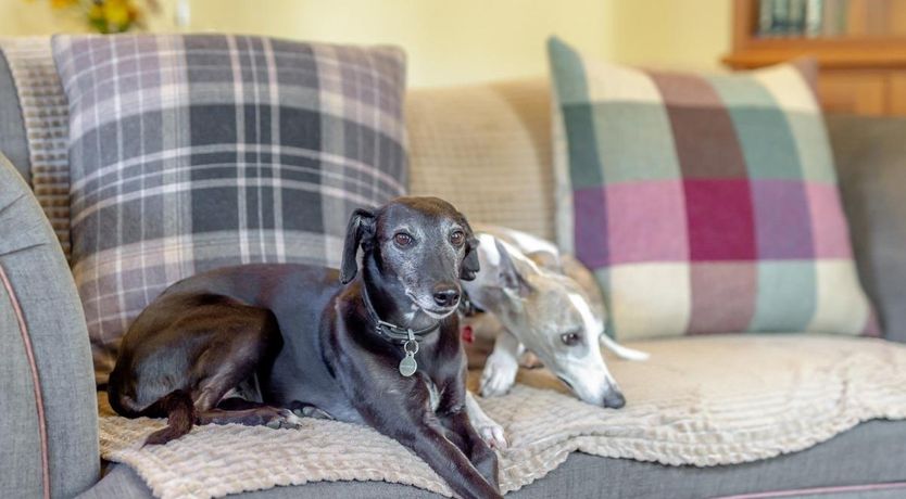 Photo of 1 Bed in Fylingdales