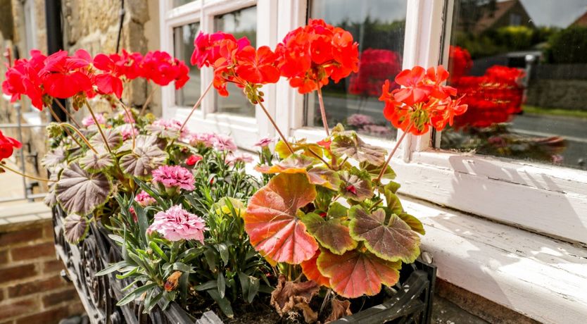 Photo of Raygill Cottage