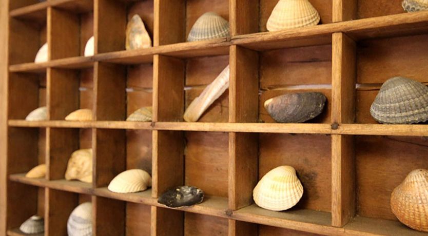 Photo of Bwthyn y Mor