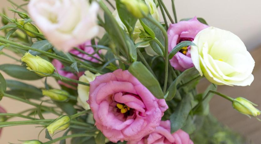 Photo of 2 Bed in Marton le Moor