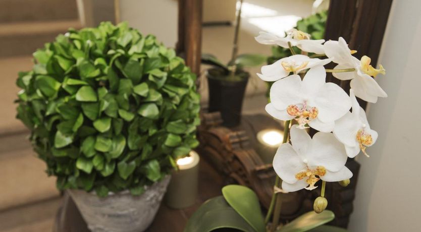 Photo of 1 Bed in Wilsill