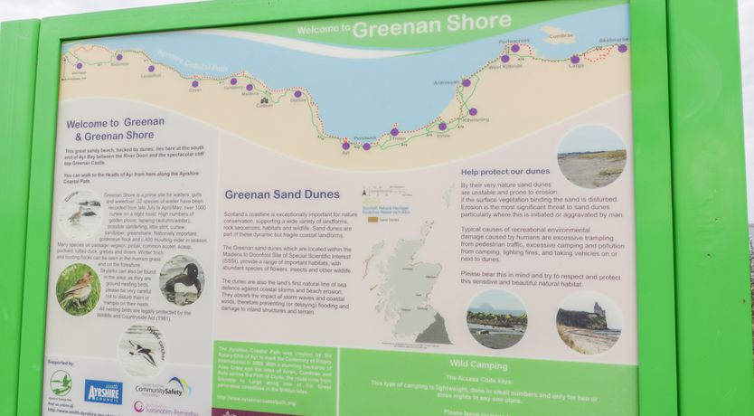 Photo of Bright and Beautiful