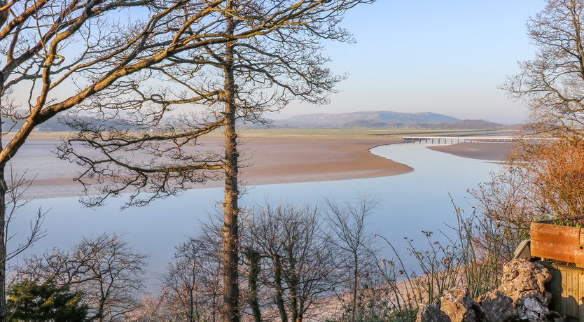 Photo of Shady Bowers