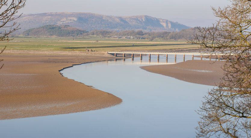 Photo of Shady Bowers