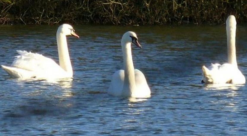 Photo of Wallslough Village