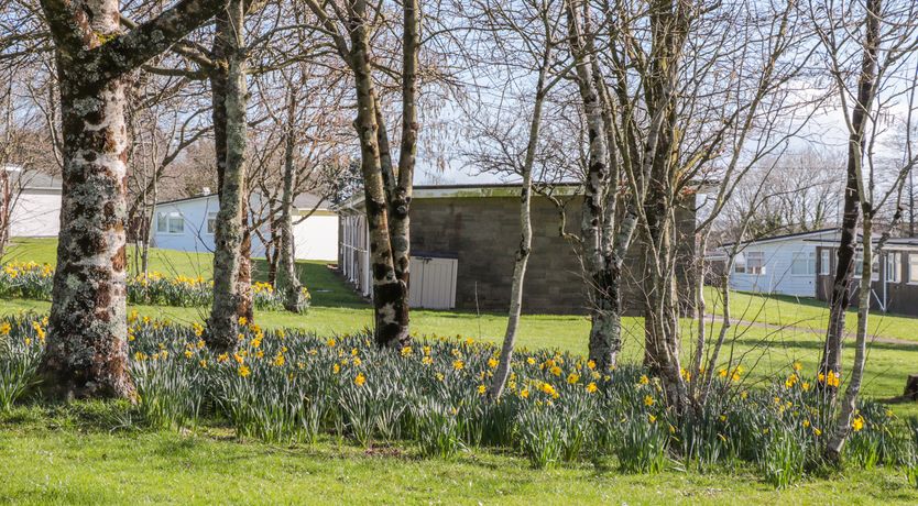 Photo of The Borrowers