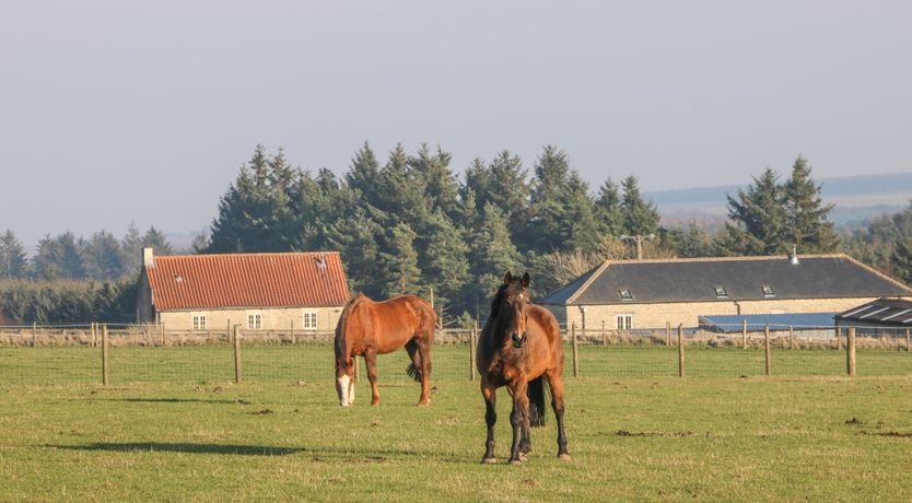 Photo of The Cottage