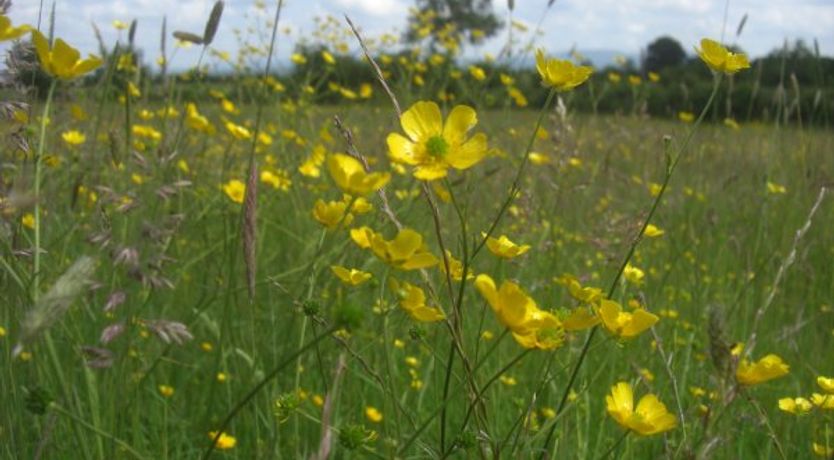 Photo of Skahard Country Villa