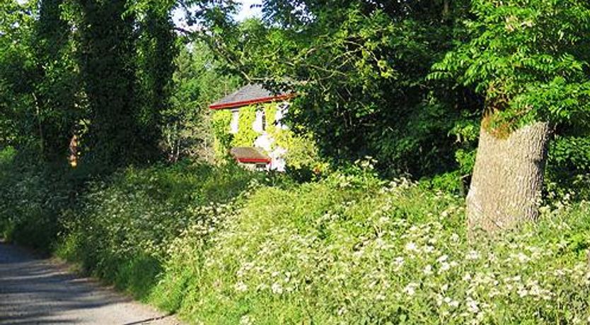 Photo of Beech Lodge, Knockanore Farm