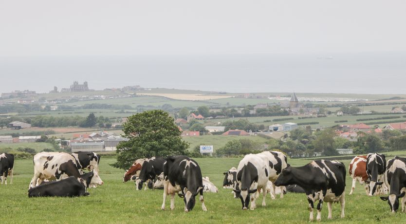 Photo of Abbey View Cottage
