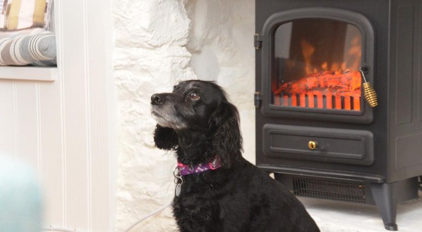 Photo of 1 Bed in Brixham