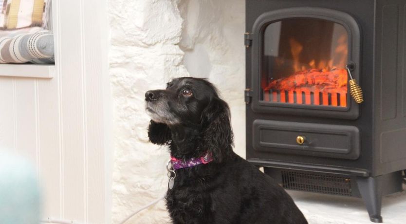 Photo of 1 Bed in Brixham