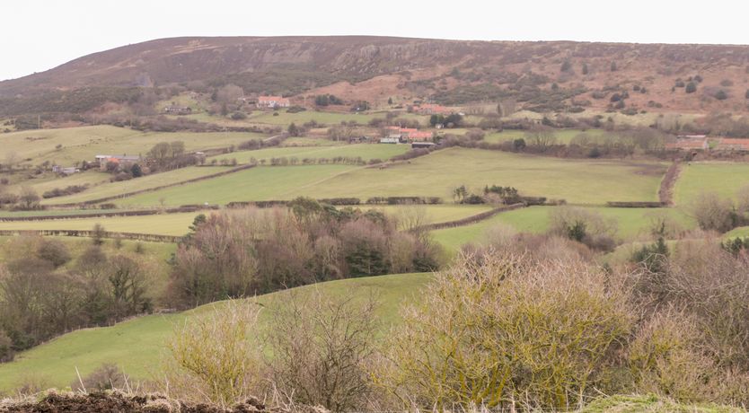 Photo of Orchard Cottage