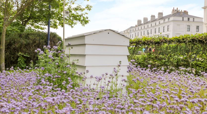 Photo of Sea Breakers Cottage
