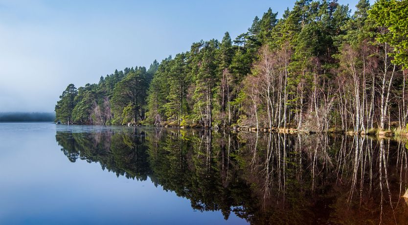 Photo of 25 Langlands Terrace