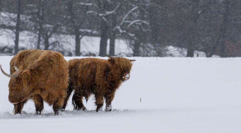 Photo of 25 Langlands Terrace