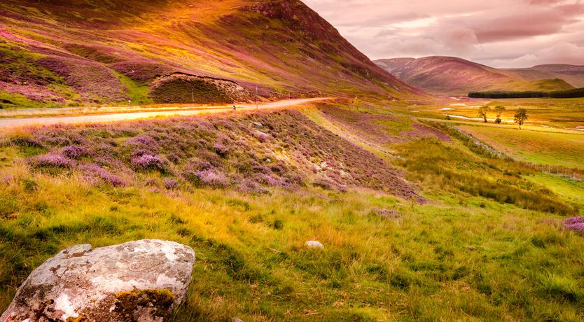 Photo of 25 Langlands Terrace