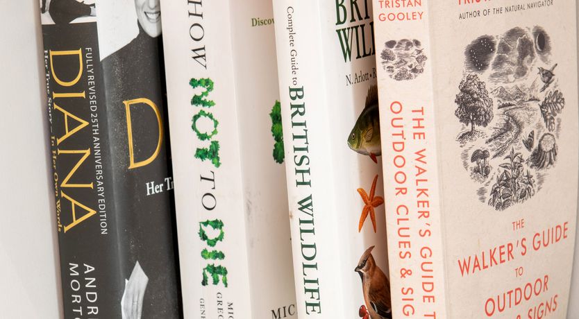 Photo of Swn Y Wylan