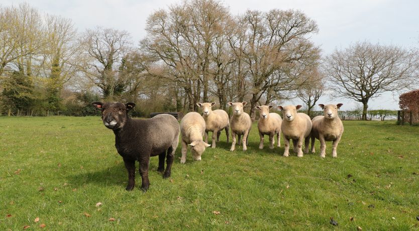 Photo of The Granary