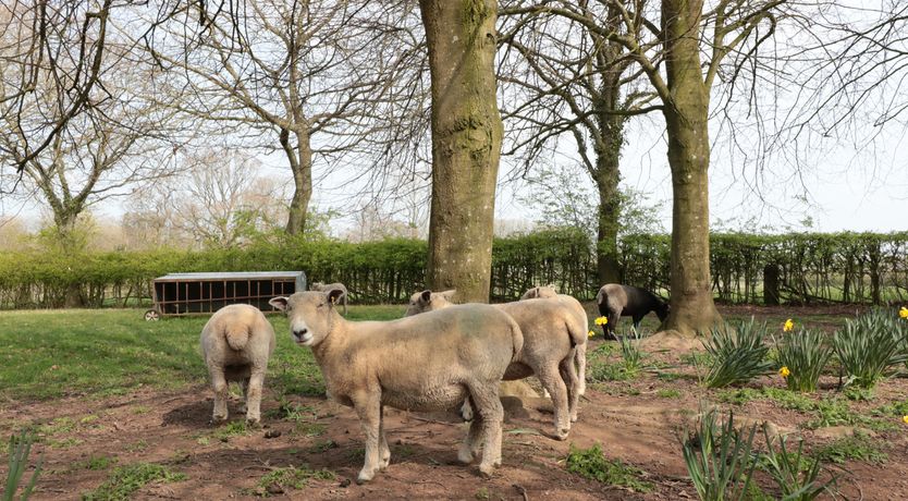Photo of The Granary