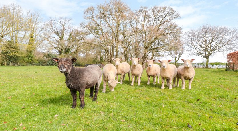 Photo of The Old Barn