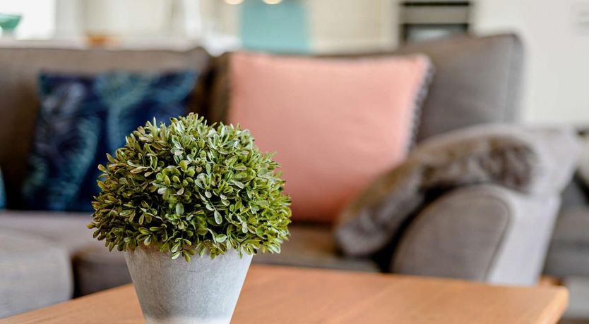 Photo of 3 Bed in Westward Ho