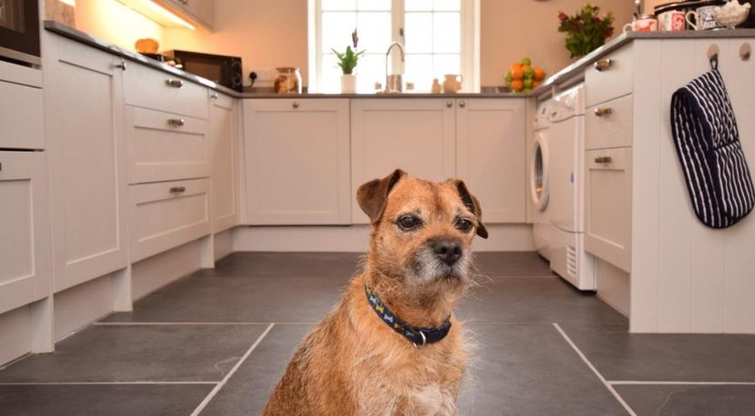 Photo of 4 Bed in Challacombe