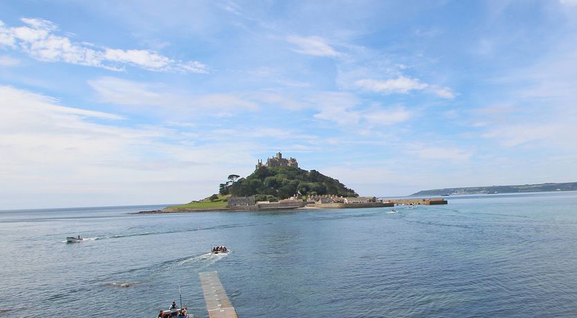 Photo of The Lily Pad