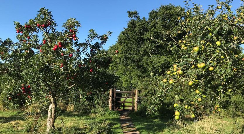 Photo of 1 Bed in Monmouth