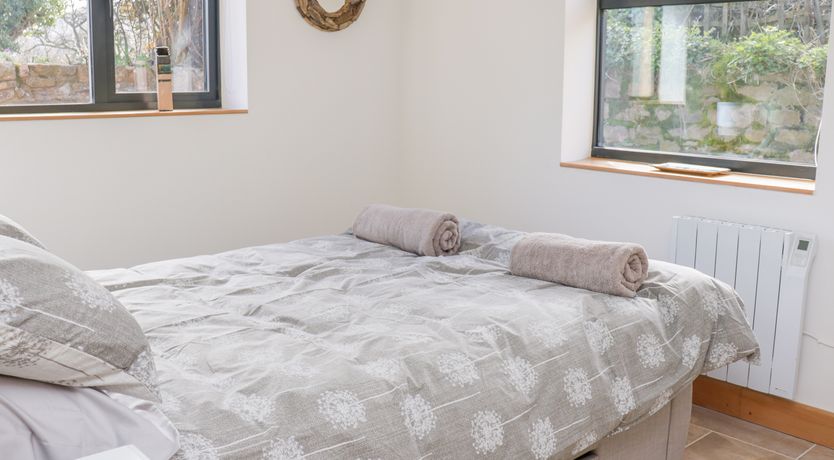 Photo of Black Cat Bach