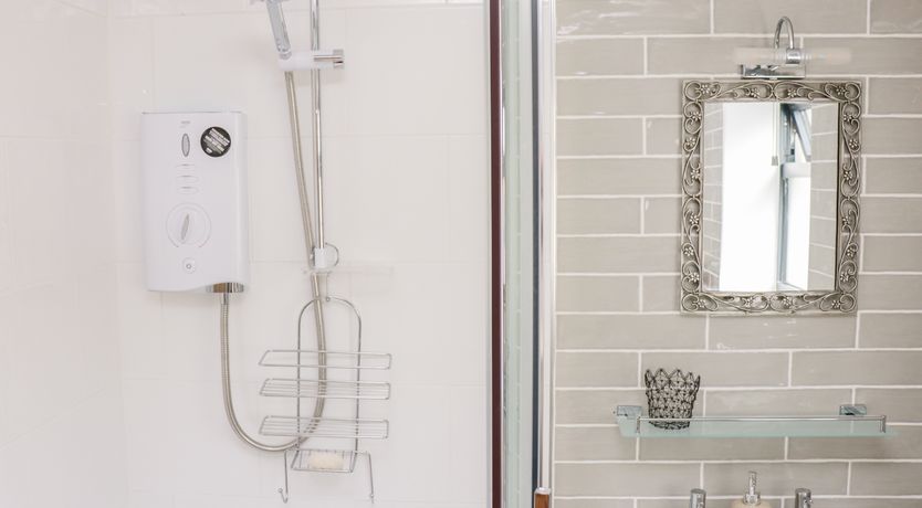 Photo of Black Cat Bach