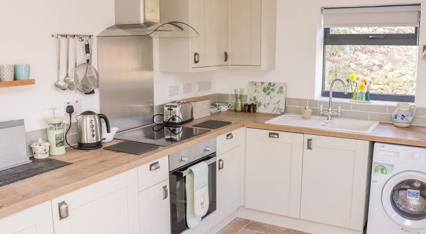 Photo of Black Cat Bach