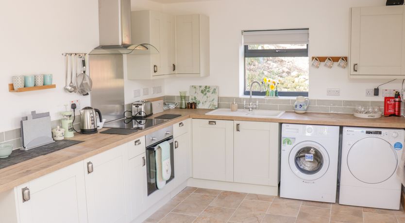 Photo of Black Cat Bach