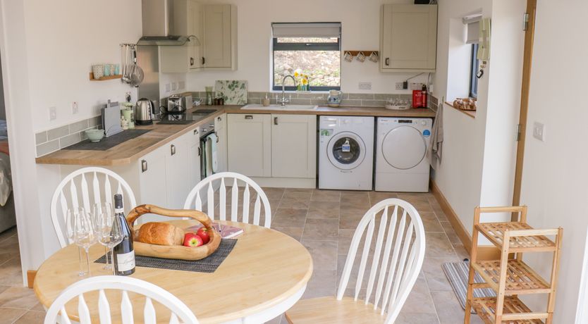 Photo of Black Cat Bach